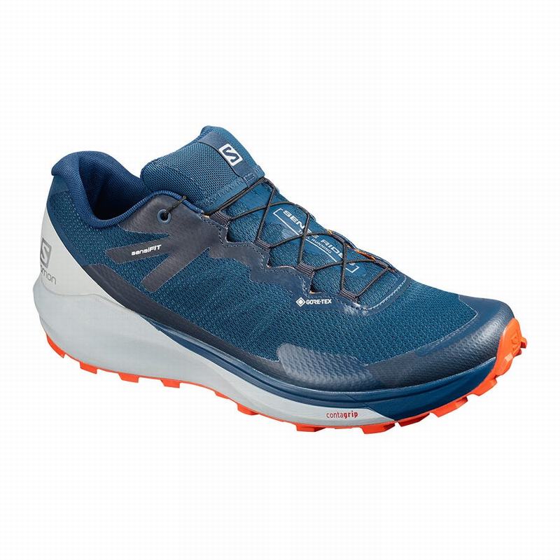 Salomon Singapore Mens Running Shoes - SENSE RIDE 3 GTX INVIS. FIT Navy | 89207-XJWT